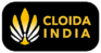 cropped cropped cloida 3.png